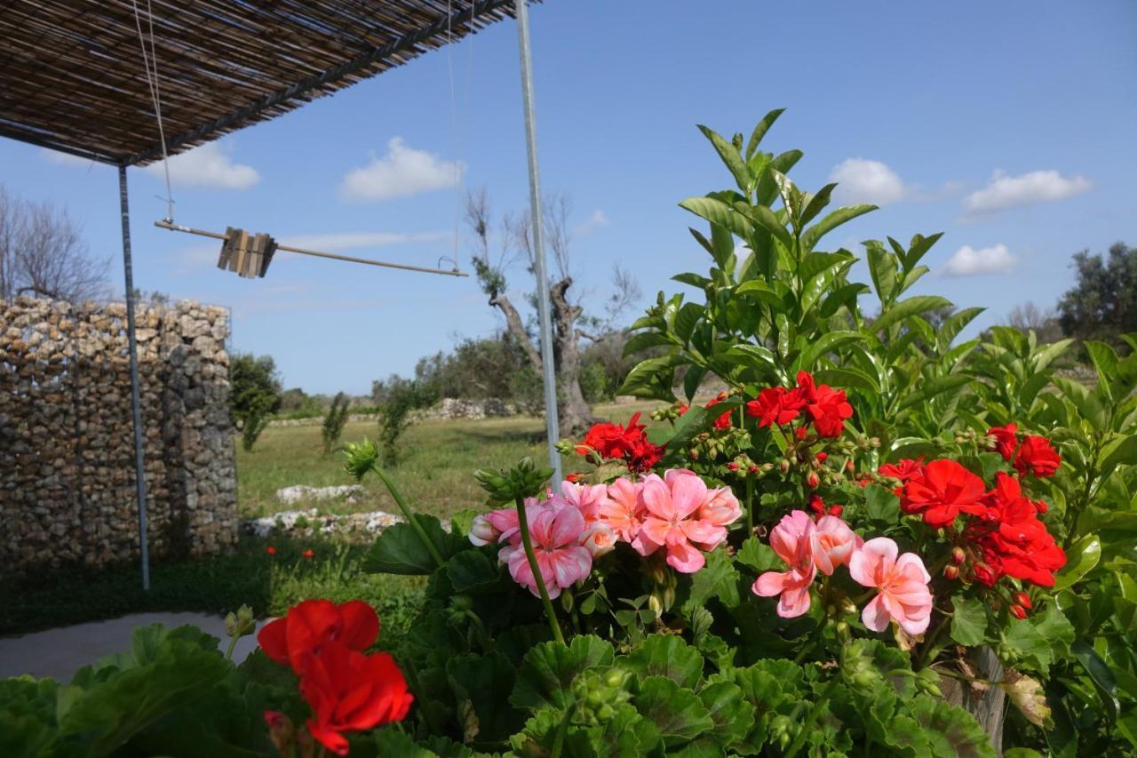 הוילה Merine Giardino Del Tempo מראה חיצוני תמונה